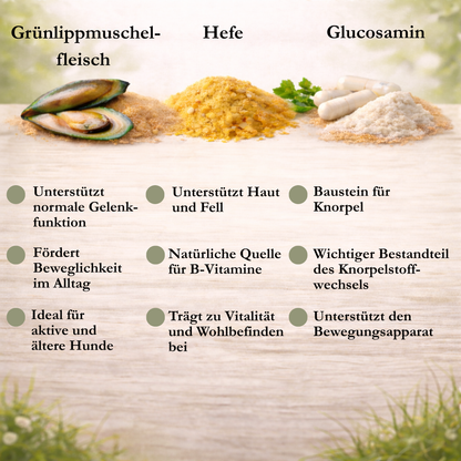 VitalPaw GelenkWohl – Gelenk Tabs für Hunde
