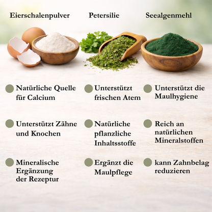 VitalPaw Zahnwohl - Zahnpflegepulver für Hunde