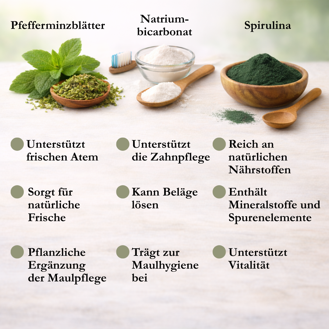 VitalPaw Zahnwohl - Zahnpflegepulver für Hunde