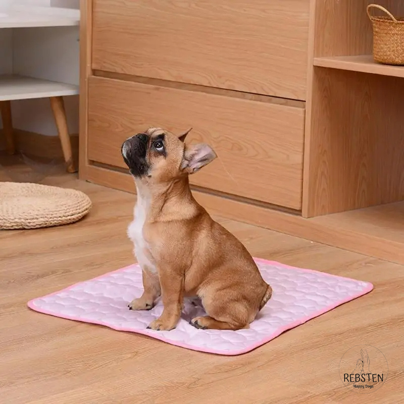 "Hitzefrei" Hunde-Kühlmatte