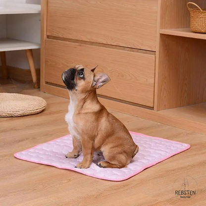 "Hitzefrei" Hunde-Kühlmatte