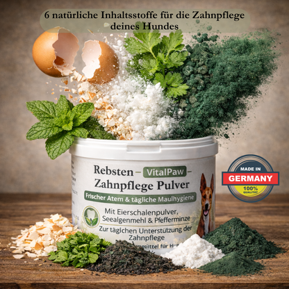 VitalPaw Zahnwohl - Zahnpflegepulver für Hunde