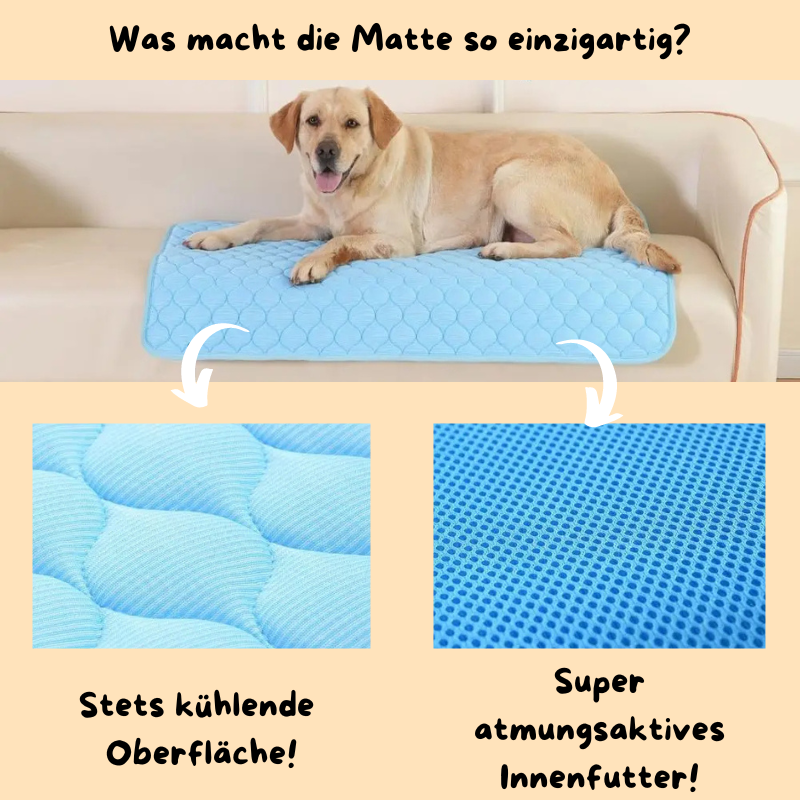 "Hitzefrei" Hunde-Kühlmatte