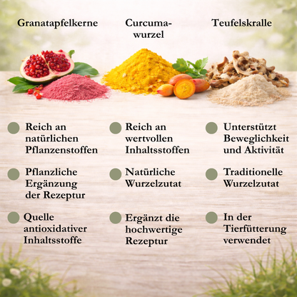 VitalPaw GelenkWohl – Gelenk Tabs für Hunde
